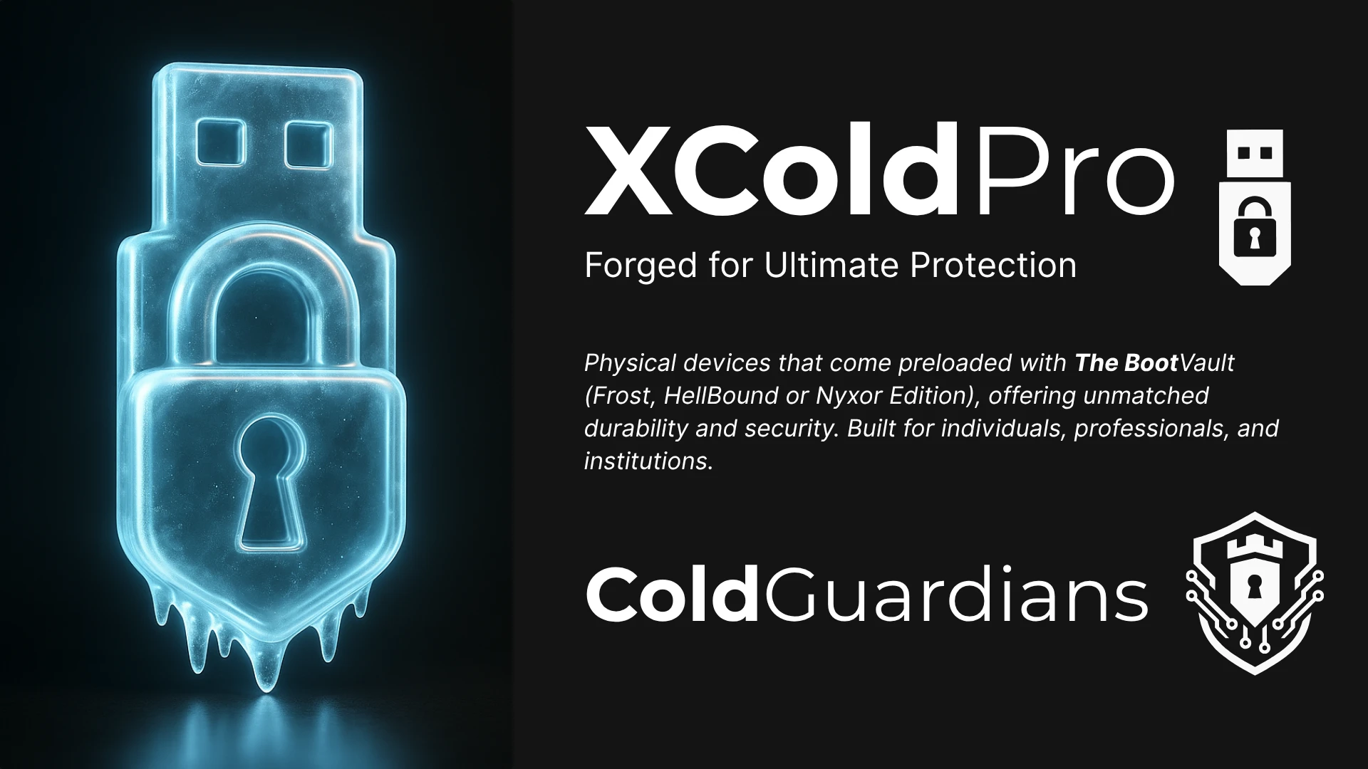 XColdPro BootVault Interface 4